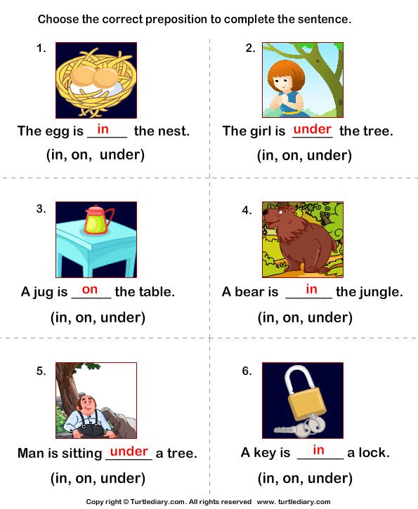 Complete The Sentences Using Preposition In On And Under Worksheet Turtle Diary