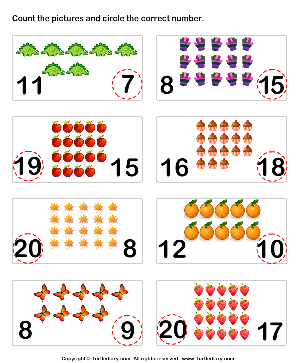 Count Pictures up to Twenty Worksheet - Turtle Diary