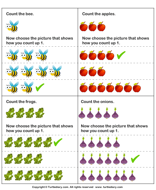 Count up Number of Pictures by One Worksheet - Turtle Diary