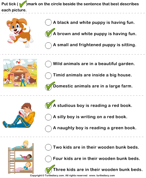 worksheet for 1 nouns free grade with Worksheet Pictures Diary Turtle Sentences   Describe