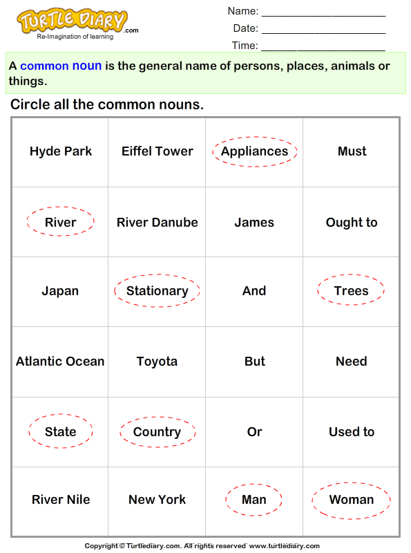 determine the common nouns worksheet turtle diary