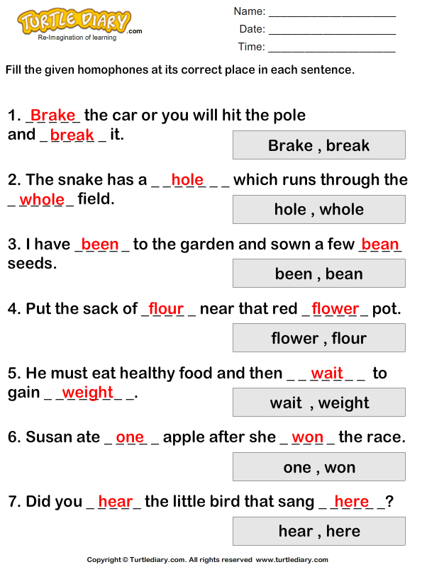 determining correct homophone worksheet turtle diary