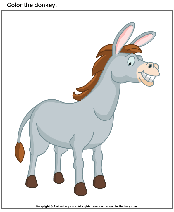 Donkey s Worksheet - Turtle Diary