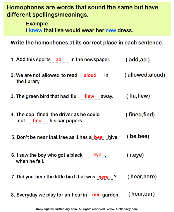 fill in the blanks with correct homophone worksheet turtle diary