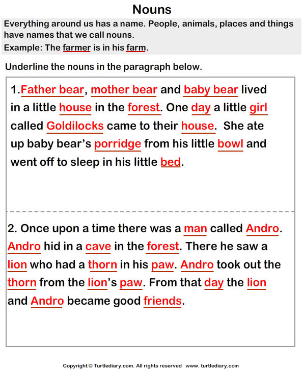 answer find nouns from paragraph bear family