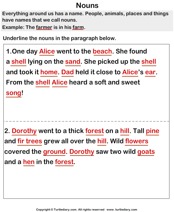 find nouns from paragraph shell on the beach worksheet turtle diary
