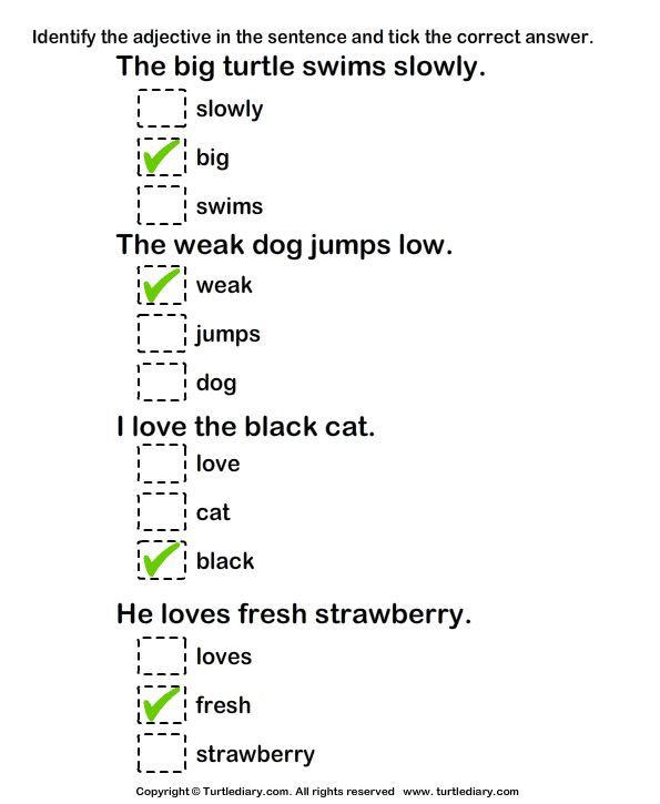 finding-adjectives-worksheet-turtle-diary