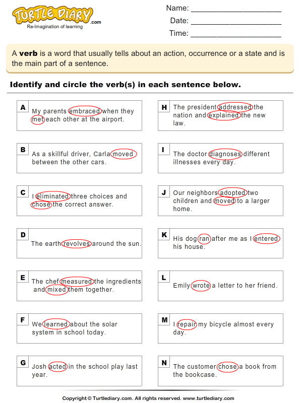 finding all verbs in sentences worksheet turtle diary