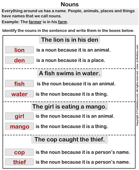 identifying-nouns-in-sentences-worksheet-turtle-diary