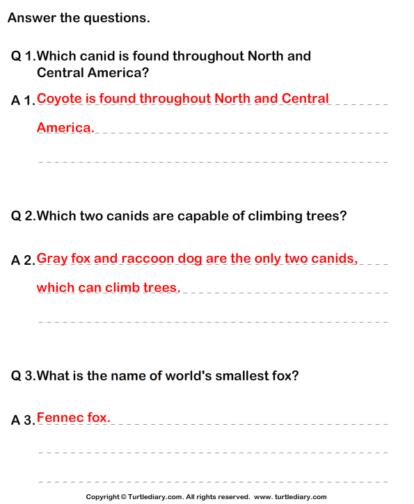 Fox Facts for Kids Worksheet - Turtle Diary