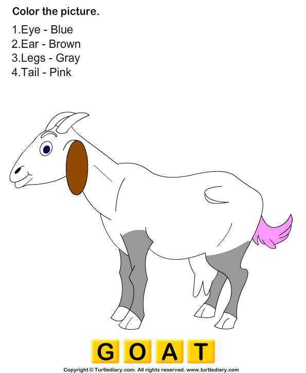 Goat s Worksheet - Turtle Diary