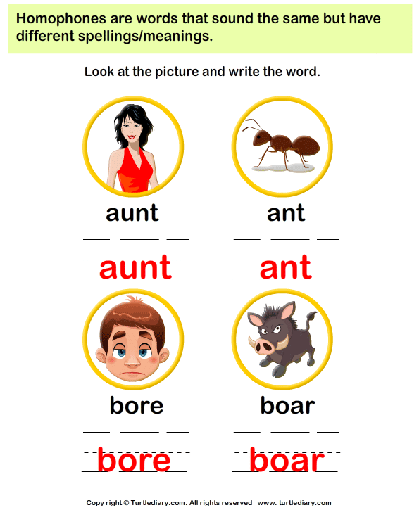 homophones spelling worksheet turtle diary
