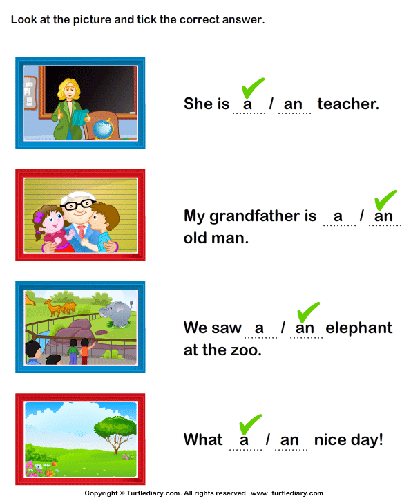 identify-a-or-an-to-complete-the-sentence-worksheet-turtle-diary