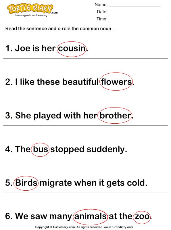 identify and circle the common noun in a sentence worksheet turtle diary