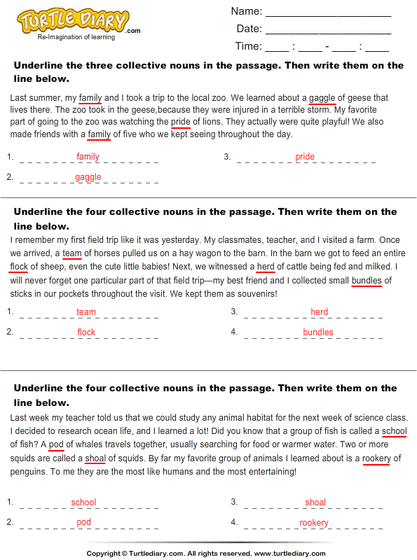 identify collective nouns in the passage worksheet turtle diary