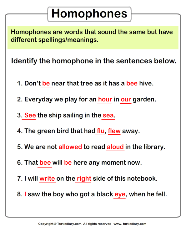 identify-homophones-in-each-sentence-worksheet-turtle-diary