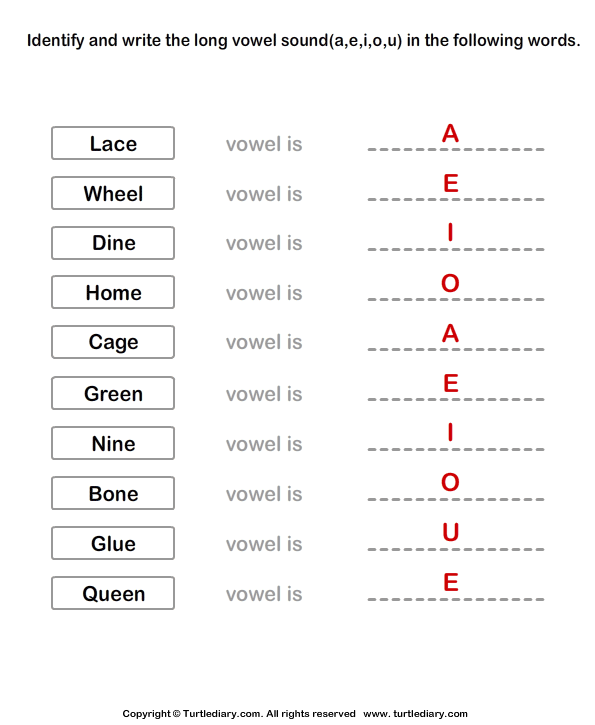 identify long a e i o u worksheet turtle diary