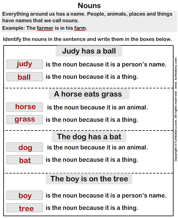 Identify The Noun In The Sentence Worksheet