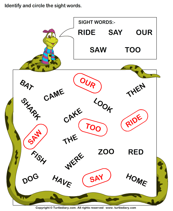 Identify Sight Words Ride Say Our Say Too Worksheet Turtle Diary