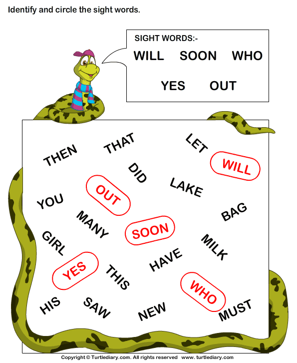 Identify Sight Words Will Soon Who Yes Out Worksheet - Turtle Diary