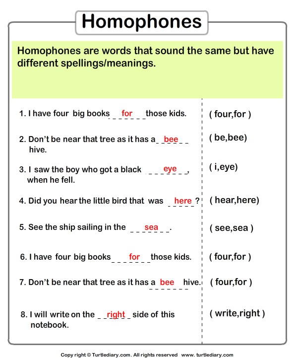 identify-the-homophone-worksheet-turtle-diary