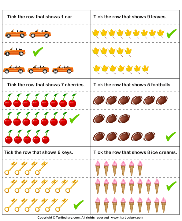 Identify the Number of Objects Represented by Number Worksheet - Turtle ...