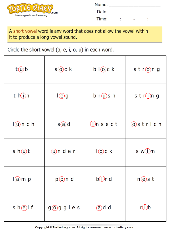 identify the short vowel in words worksheet turtle diary