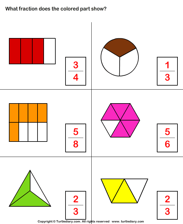 Identify What Fraction of Whole is Colored Worksheet - Turtle Diary