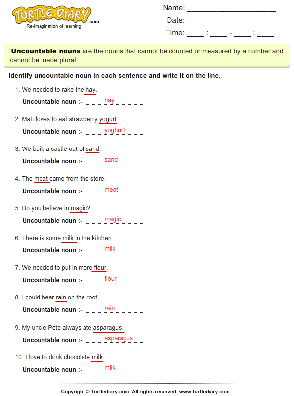 identify which word in sentence is uncountable noun worksheet turtle