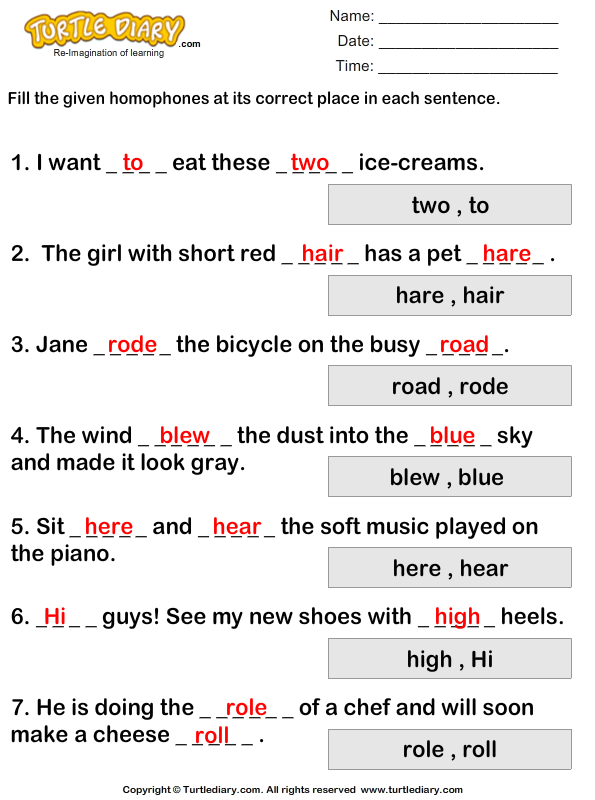 identify words that sound same for each sentence worksheet turtle diary