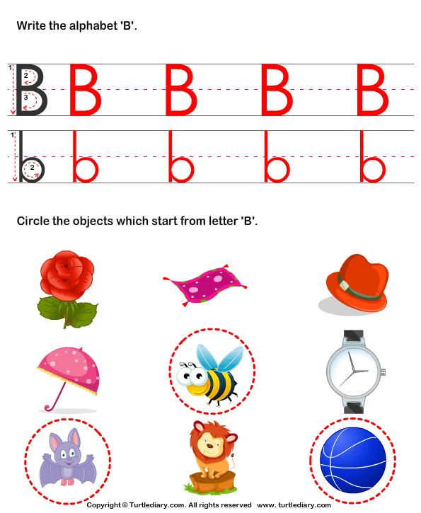 Identify Words That Start With B Worksheet - Turtle Diary