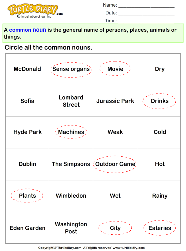 identifying common nouns from given options worksheet turtle diary