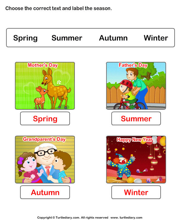Kids Seasons Worksheets Worksheet - Turtle Diary