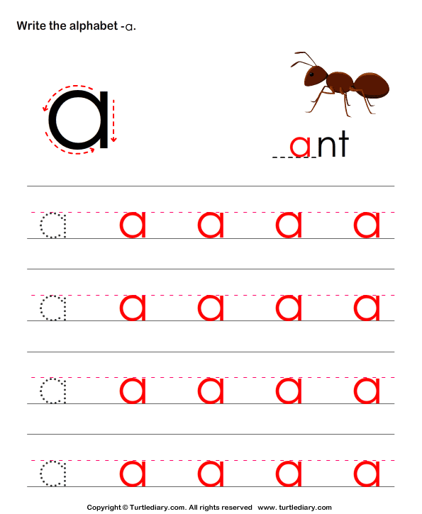 lowercase a with umlaut