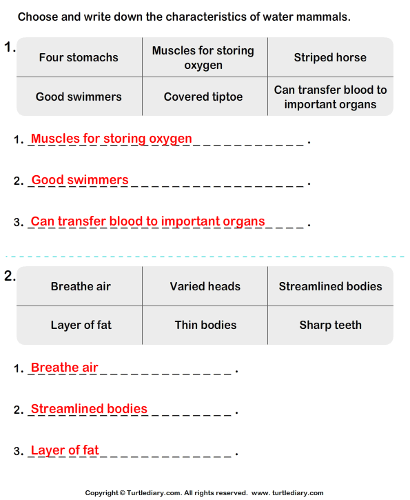 mammal-characteristics-worksheet-turtle-diary