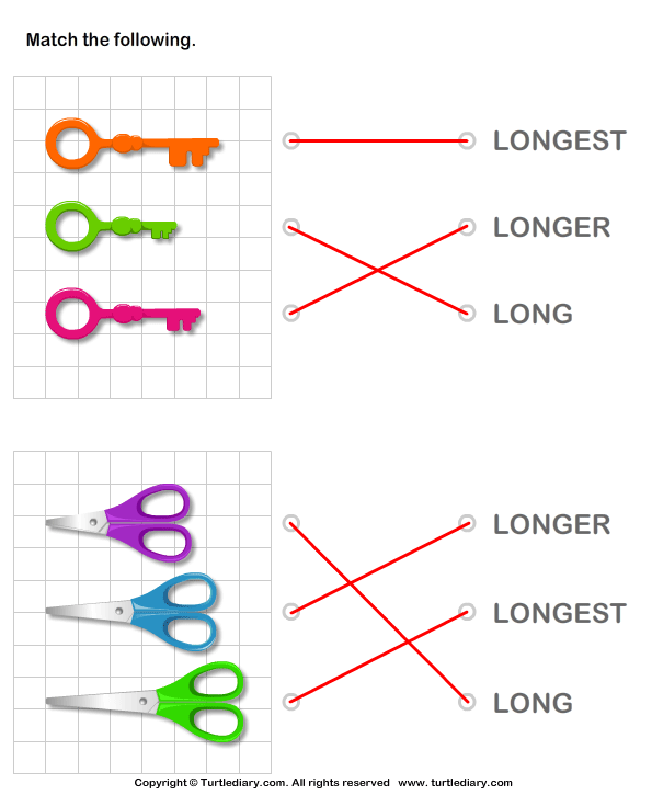 Match Objects with Words Long Longer Longest Worksheet - Turtle Diary