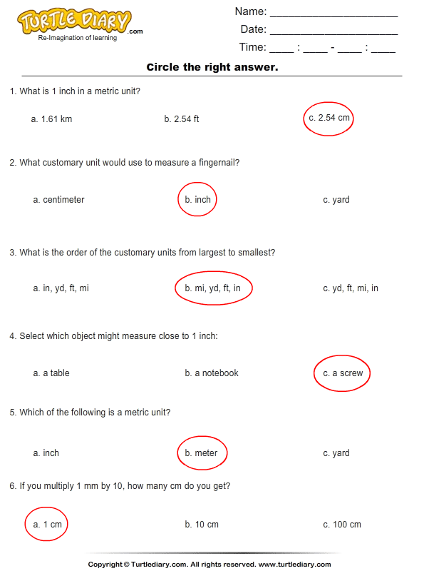 Metric Unit Conversion Length Worksheet  Turtle Diary