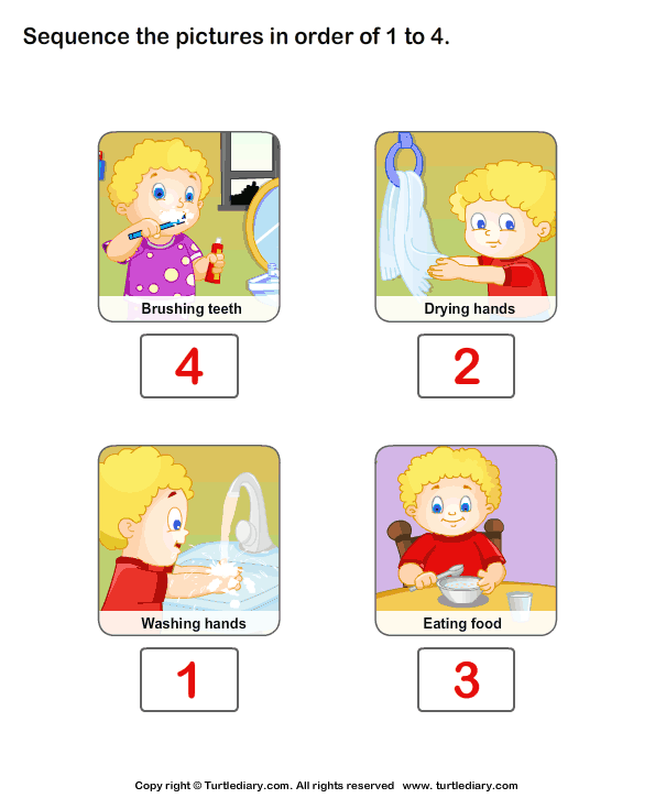 Personal Hygiene Questions Worksheet Turtle Diary