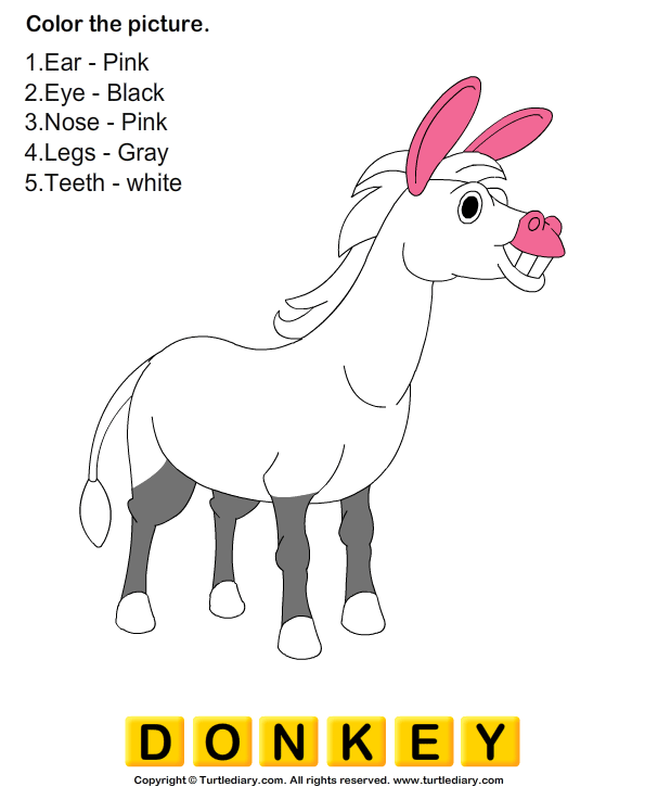 Pictures Of Your Body Parts Worksheet Turtle Diary