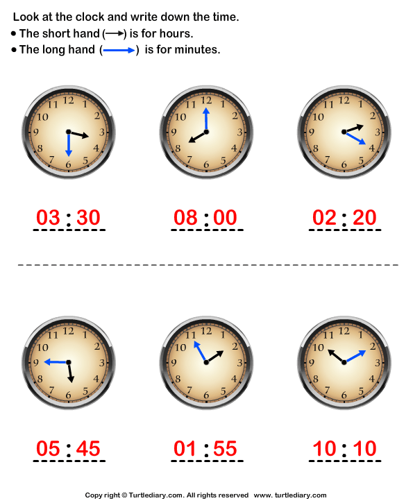 reading analog clocks worksheet turtle diary