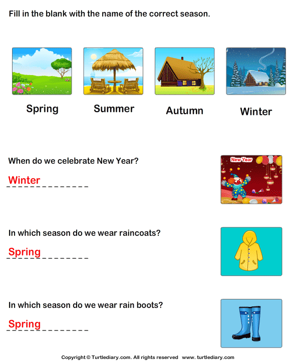 Seasons of the Year Worksheet - Turtle Diary