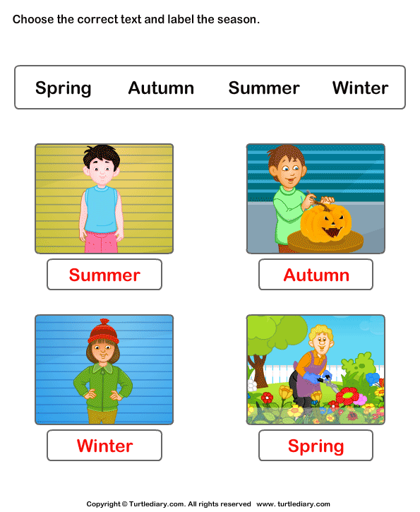 Seasons Worksheets Worksheet - Turtle Diary