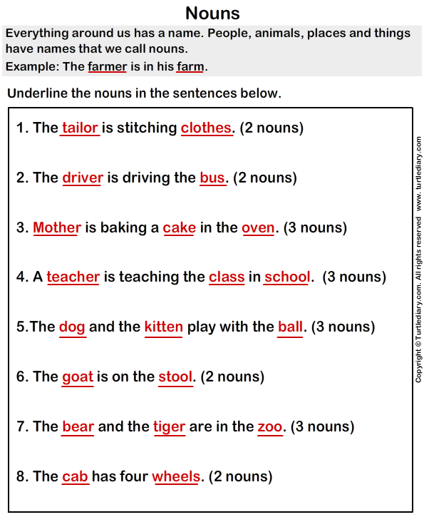 Noun Sentences Worksheet