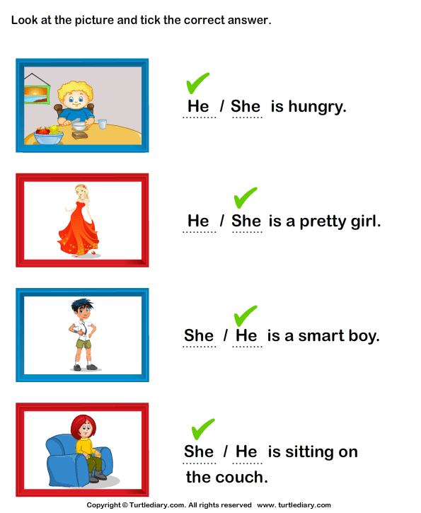 She and He Worksheet - Turtle Diary
