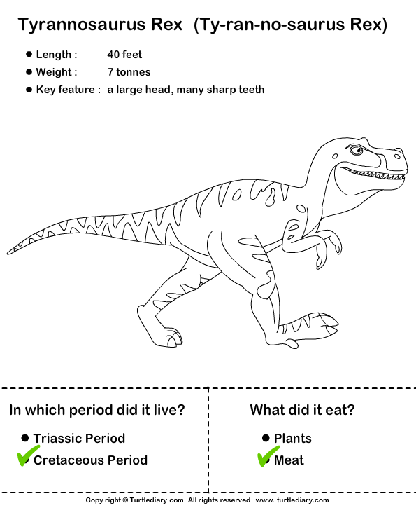 simple dinosaur facts for kids worksheet turtle diary