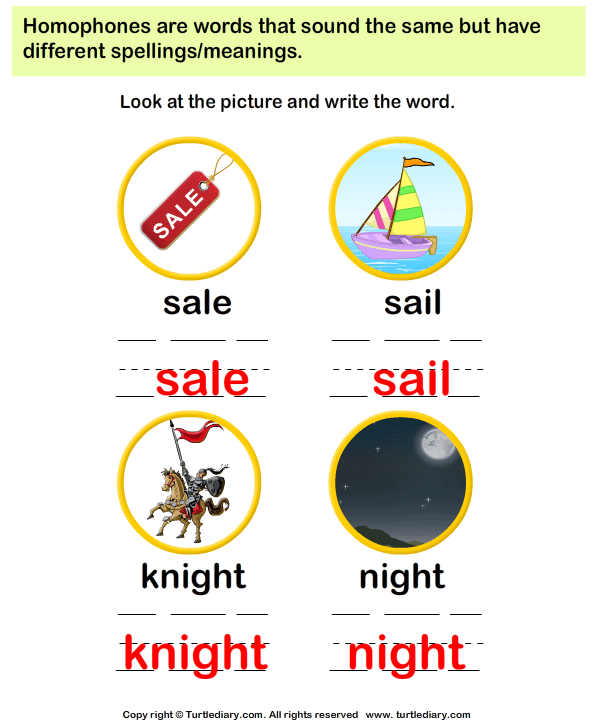 Spelling Of Words That Sound The Same Worksheet Turtle Diary