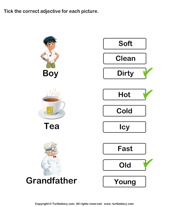 tick adjectives for pictures of boy tea grandfather worksheet turtle