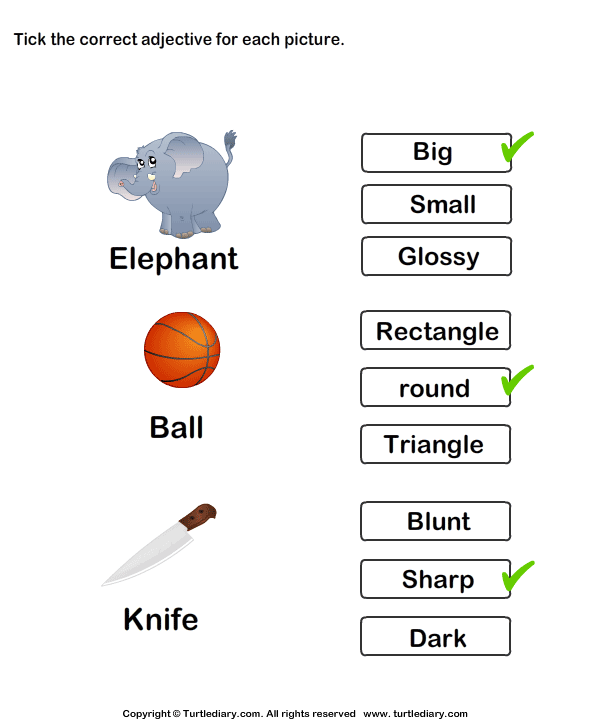 Tick Adjectives for Pictures of Elephant Ball Knife Worksheet - Turtle