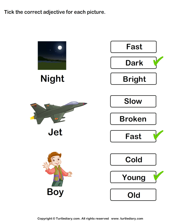 Tick Adjectives for Pictures of Night Jet Boy Worksheet - Turtle Diary