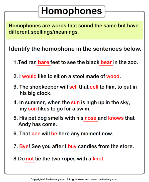 underline-homophones-in-each-sentence-worksheet-turtle-diary